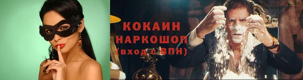 стаф Карталы