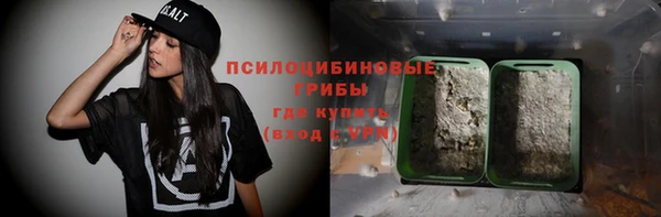 стаф Карталы