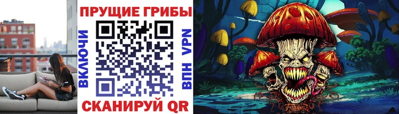 Псилоцибиновые грибы GOLDEN TEACHER  Новоалександровск 
