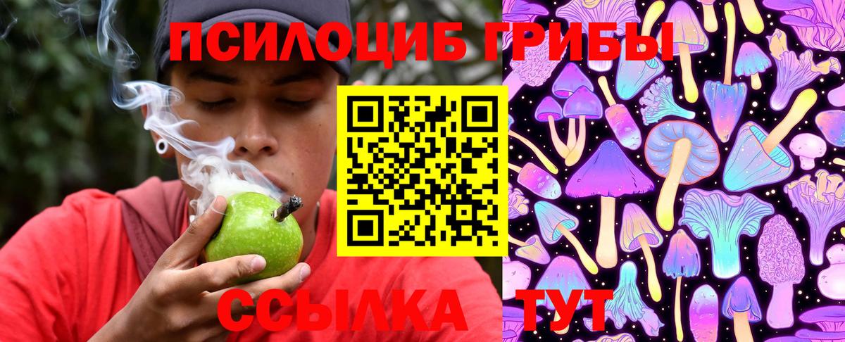 Новоалександровск  Галлюциногенные грибы Psilocybine cubensis  Вход с VPN 