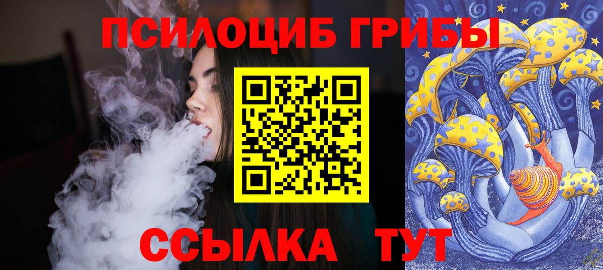 Псилоцибиновые грибы MAGIC MUSHROOMS Новоалександровск
